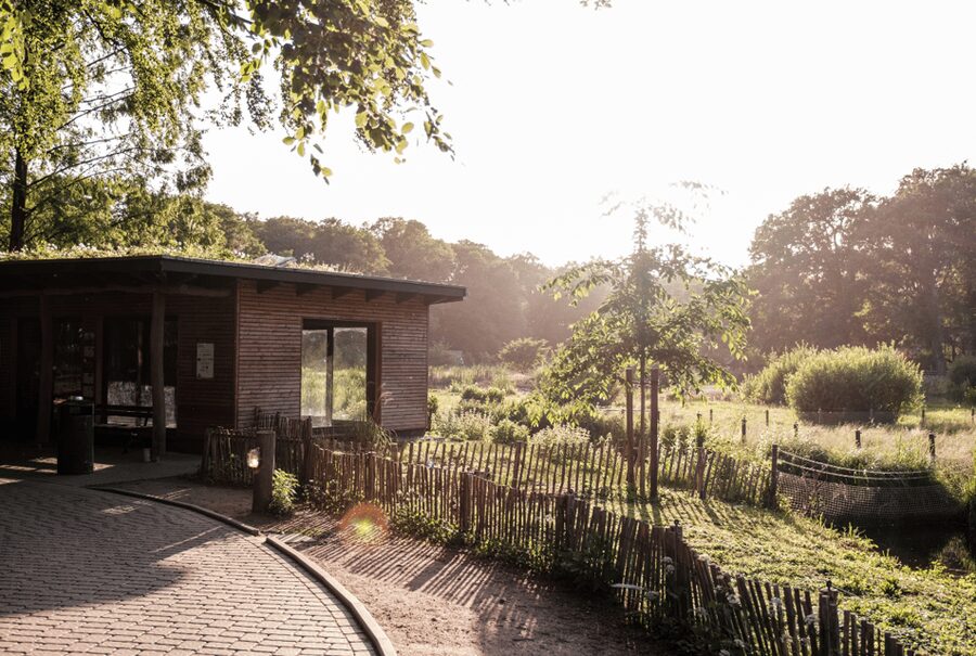 1-day ticket for Schwerin Zoo - Meet rare animals from lions to giraffes