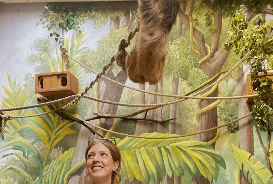 1-day ticket for Schwerin Zoo - Accessibility, groups, and booking details