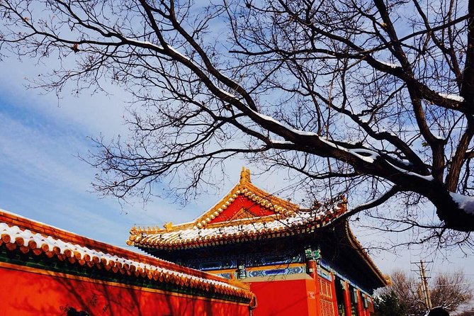 2 Days Beijing Group Tour Including Great Wall And Forbidden city - How the price compares with doing it yourself