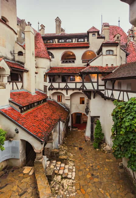 3 Castle Bucharest: Dracula Castle, Wednesday & Peles Castle - The coach route is convenient, but the day is long