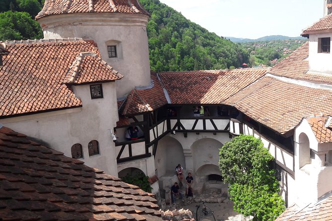3-Castle: Peles,Bran,Rasnov,Sinaia Monastery from Brasov w pickup - Who should book this experience
