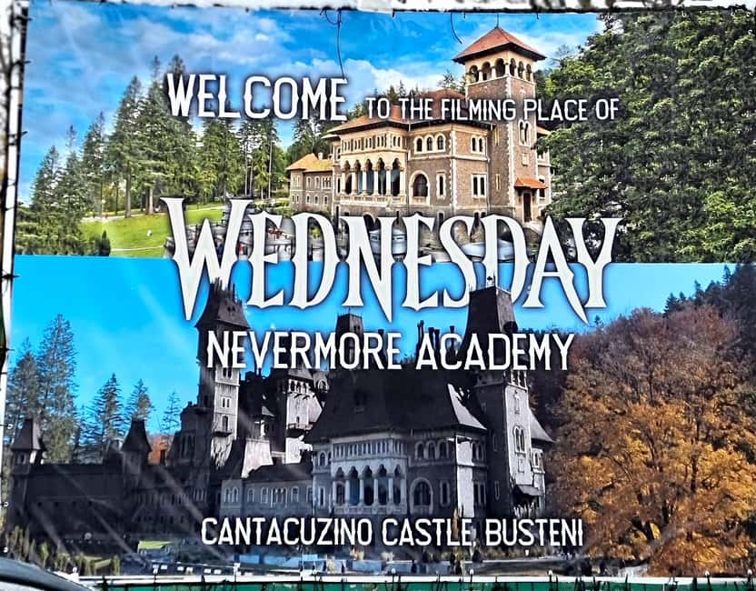 3 Castles Tour From Bucharest: Peles, "Wednesday" & Dracula - Why the guides matter on a packed schedule