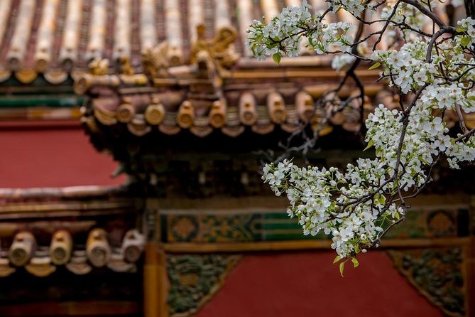 3-Day Private Beijing Tour with Forbidden City, Great Wall, Hutong and Lunch - Who should book this Beijing tour?