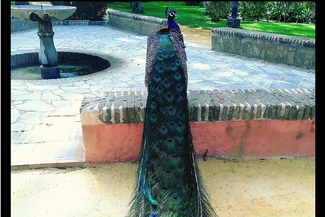 Alcazar and Cathedral of Seville Private Tour - Tickets Are the Main Planning Detail