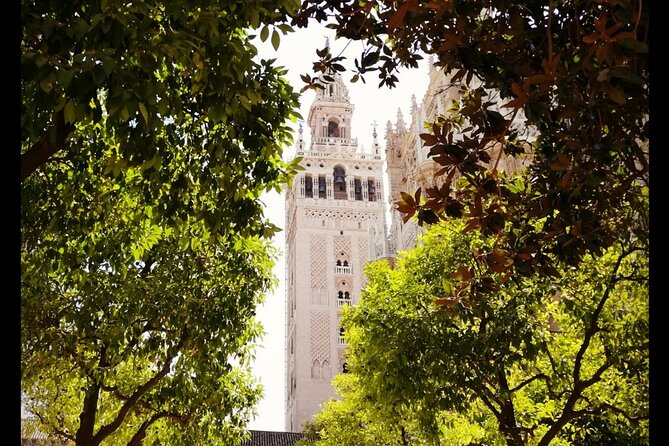 Alcazar and Cathedral of Seville Private Tour - Sofía Ventura’s Guiding Style