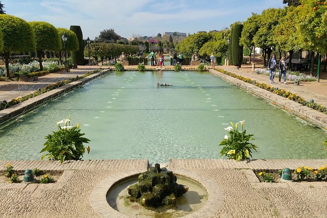 Alcazar of Cordoba Small Group Tour with Skip the Line Ticket - Is $22 a fair price?