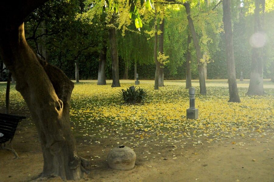 Alcázar of Seville Skip-the-Line Tickets and Guided Tour - Skip-the-line value, and what it does not promise
