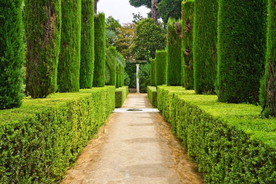 Alcazar of Seville VIP Tour - Why the Alcazar needs a guided visit