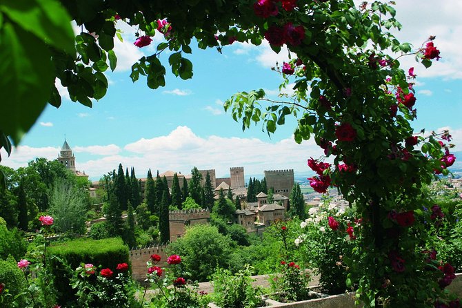 Alhambra and Generalife Skip-the-Line Ticket with Guide - Guide quality and the group experience