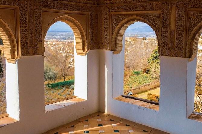 Alhambra and Nasrid Palaces: Skip-the-line Ticket and Local Guide - Is $167.75 a fair price?