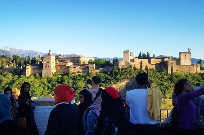 Alhambra &Charles Palace Guided Tour with Optional Nasrid Palaces - Choosing between the full visit and the surroundings walk
