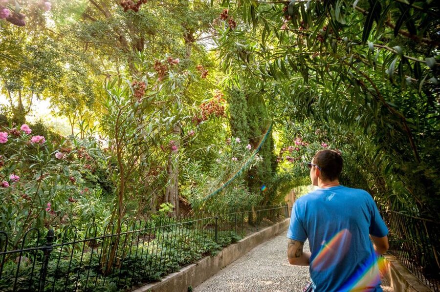 Alhambra & Generalife Tour including Transport & Admission - Who should book this Alhambra tour?