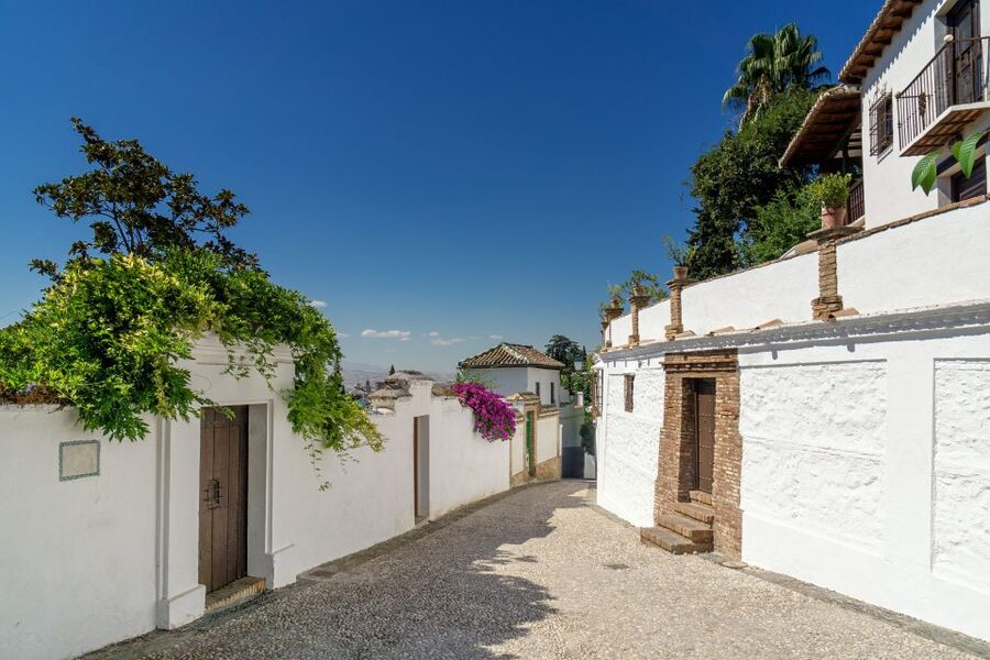 Alhambra, Nasrid Palaces and Albaicin Tour - Two sides of Granada in one day