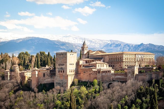 Alhambra: Small Group Tour with Local Guide & Admission - The Nasrid Palaces: the heart of the visit