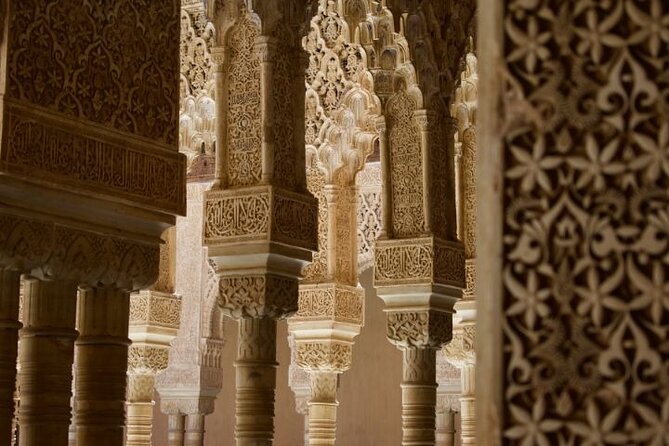 Alhambra: tour with Nasrid Palaces. Admission not included - Meeting point, timing, and group size
