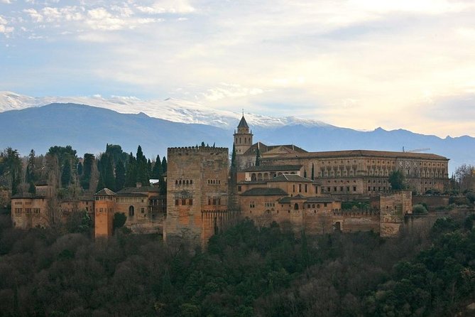 Alhambra Tour with Nasrid Palaces : Join a Group. Skip the line. - Starting at La Mimbre near the Generalife