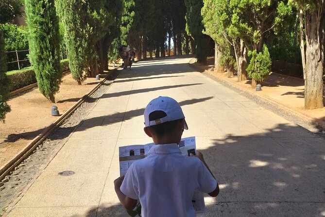 Alhambra with Nazaries Palaces Private Tour - Alcazaba: the oldest fortress and the best city views