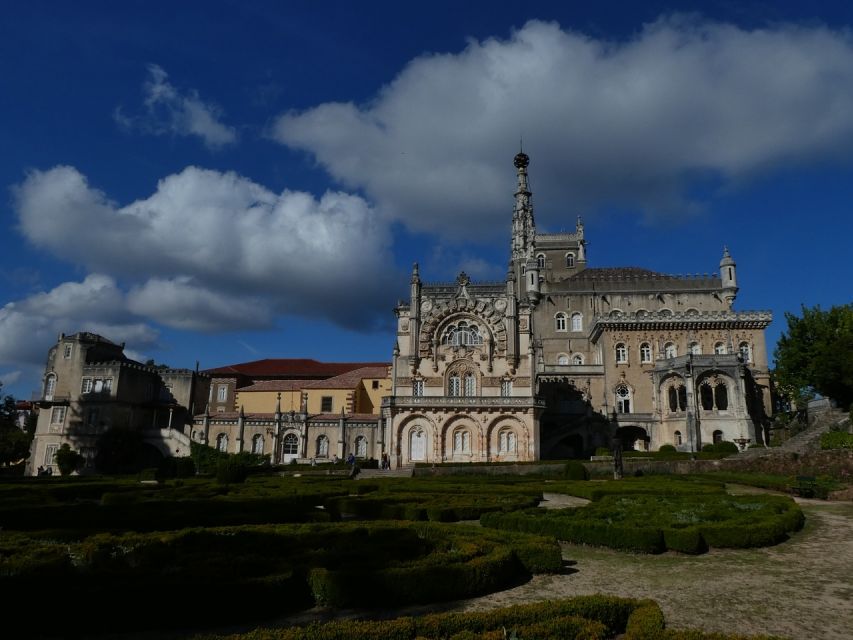 An adventure through the Forest and Palace of Bussaco - Coim - Why Bussaco Forest Makes a Good Half-Day Trip