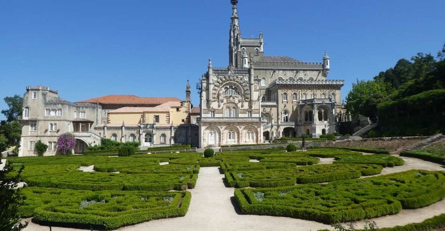 An adventure through the Forest and Palace of Bussaco - Coim - The Bussaco Palace Hotel Stop