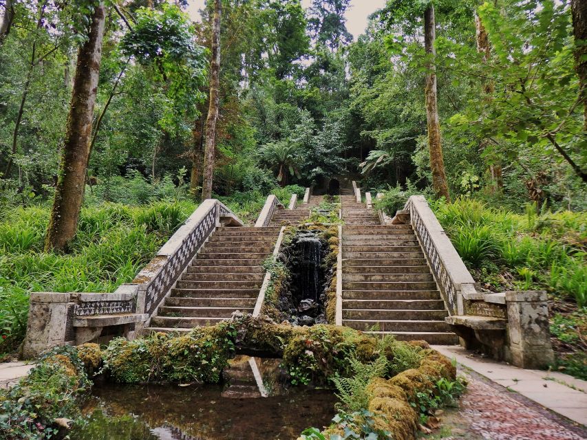 An adventure through the Forest and Palace of Bussaco - Coim - Weather, Clothing, and Physical Demands