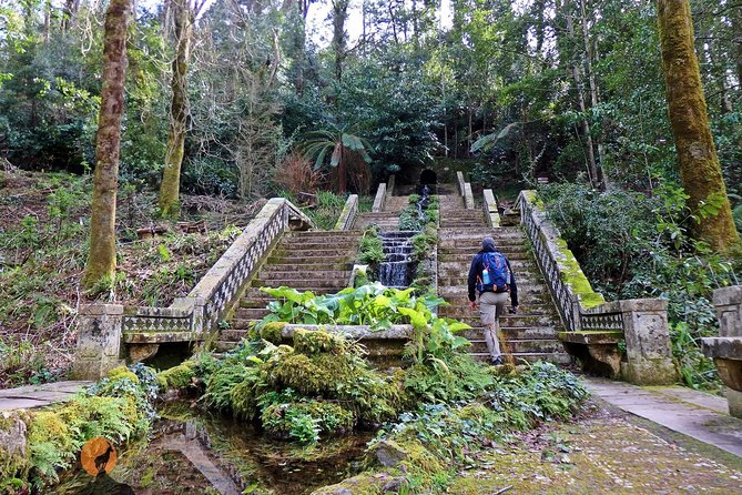 An adventure through the Forest and Palace of Bussaco - Coimbra - Why Bussaco makes a fine break from Coimbra