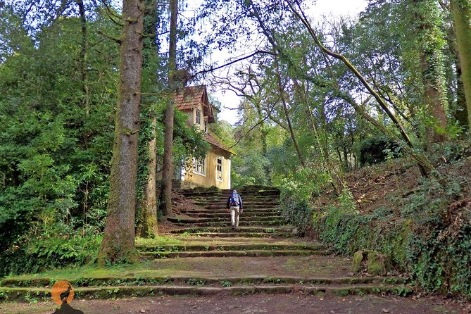 An adventure through the Forest and Palace of Bussaco - Coimbra - What Sérgio Forte adds to the outing