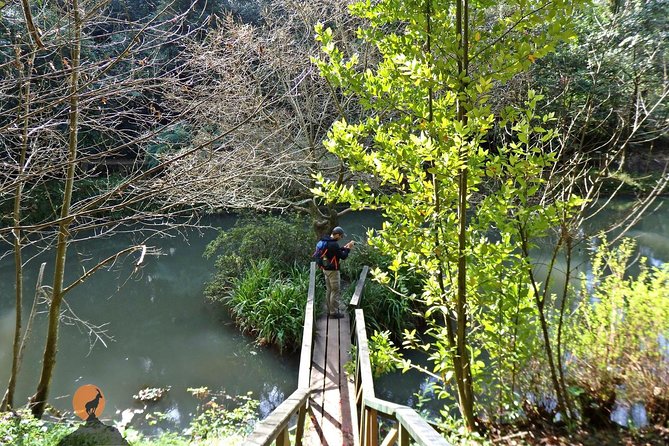 An adventure through the Forest and Palace of Bussaco - Coimbra - Should you book the Bussaco Forest and Palace tour?