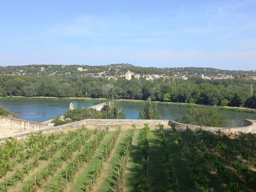 Avignon: City Walking Tour with Popes Palace Entry - Who will enjoy this walking tour