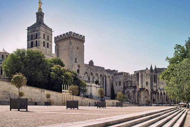Avignon Walking Tour including Pope's Palace - Walking through the medieval center