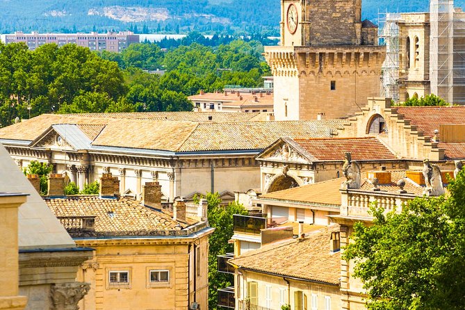 Avignon Walking Tour including Pope's Palace - Is $83.27 a fair price?