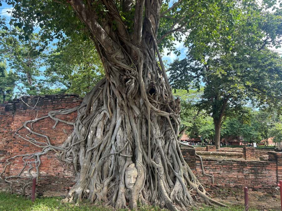 Ayutthaya Full-Day Tour with Bang Pa In (Summer Palace) - Should you book it?