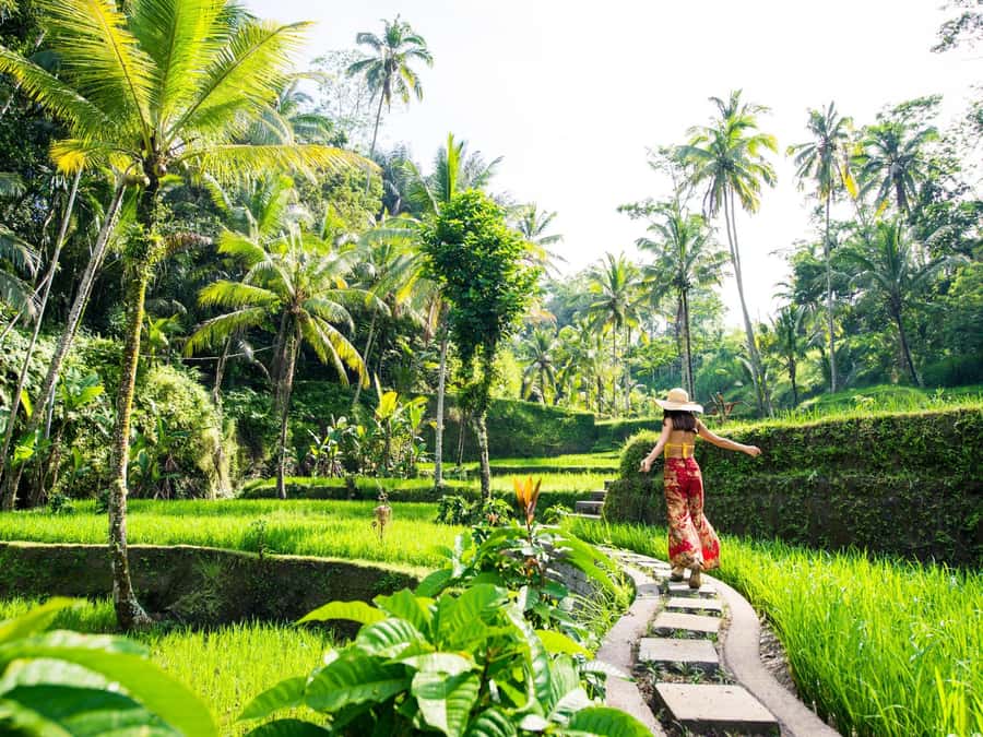 Bali: Lempuyang Temple, Water Palace, and Waterfall Tour. - Lempuyang Temple and the Gate of Heaven