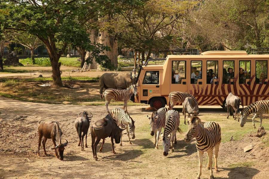 Bali: Safari Zoo and Ubud Palace and Market Day Tour - What the safari stop means for the price