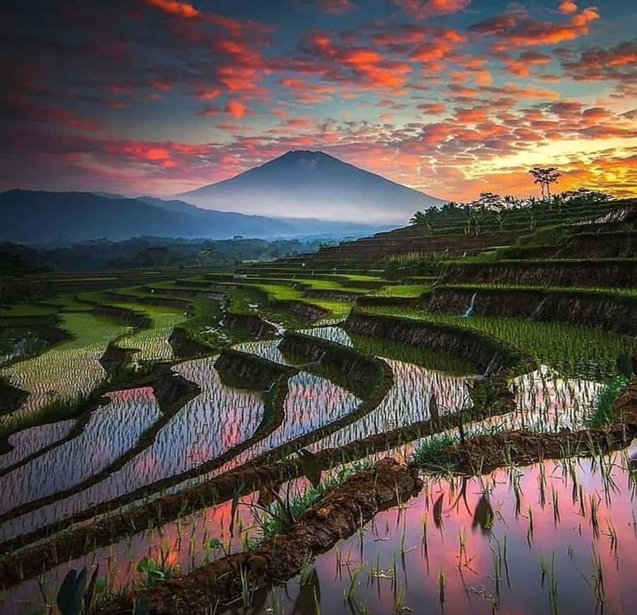 Bali: Trip to Tirta Gangga Palace and Tukad Cepung Waterfall - Who should book this Bali day trip?