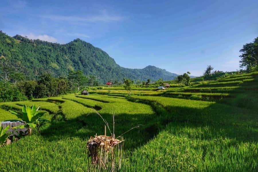 Bali: Ujung Water Palace, Candidasa and Sidemen Village Tour - Why East Bali makes a good day trip