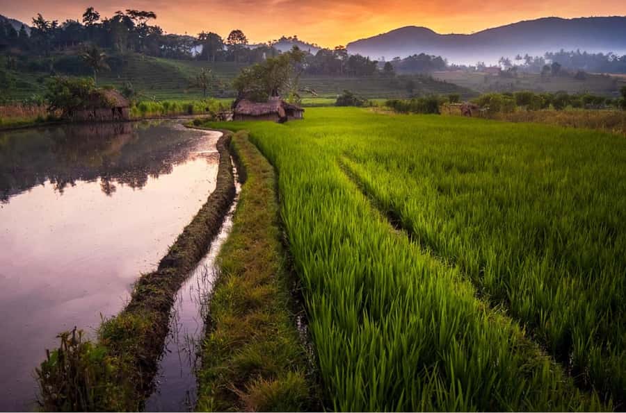 Bali: Ujung Water Palace, Candidasa and Sidemen Village Tour - Guides, vehicles, and the human side of the day