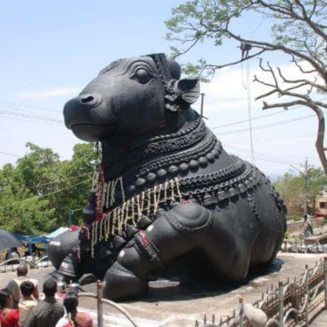 Bangalore City Tour: Lalbagh, Tipu Palace & Bull Temple - Transport, timing, and what the $74 covers