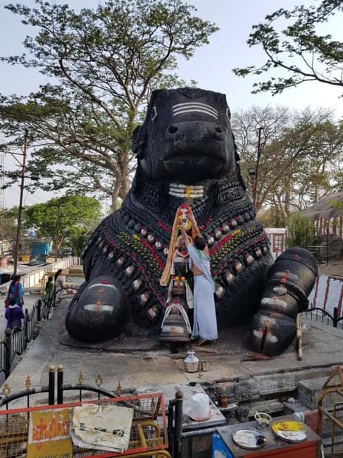 Bangalore City Tour: Walking, Palace & Temples - What this Bangalore day tour is really trying to do