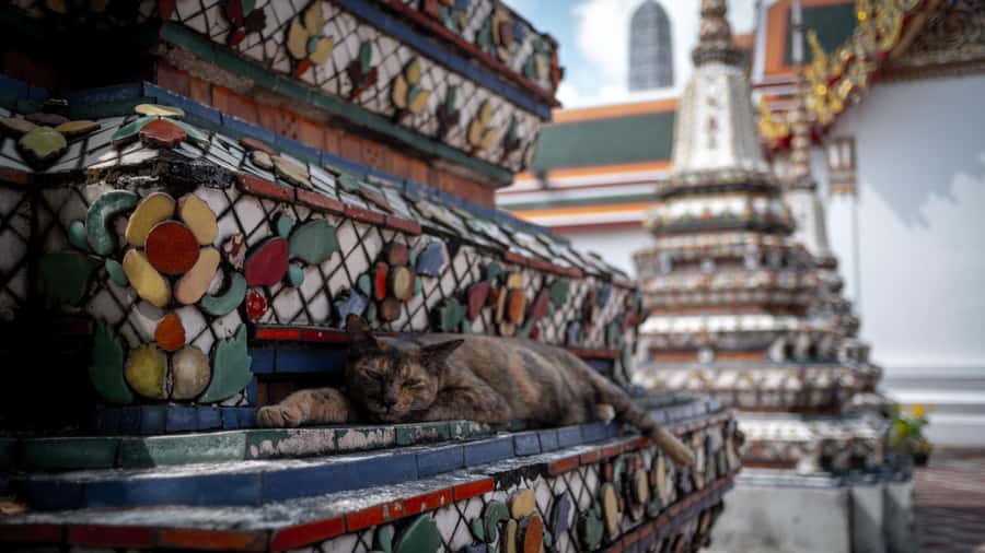 Bangkok: Grand Palace, Wat Pho and Wat Arun - The ferry to Wat Arun