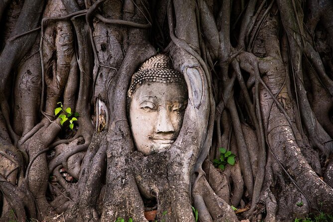 Bangkok: Private Ayutthaya and Bang Pa-In Summer Palace Tour - Key points to know before booking