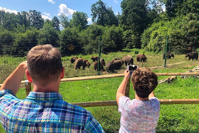 Bear Sanctuary, Bran (Dracula) Castle, Peles Castle From Brasov - Why this Brasov day trip works so well