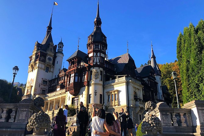 Bear Sanctuary, Bran (Dracula) Castle, Peles Castle From Brasov - Timing, transport, and the real pace of the day