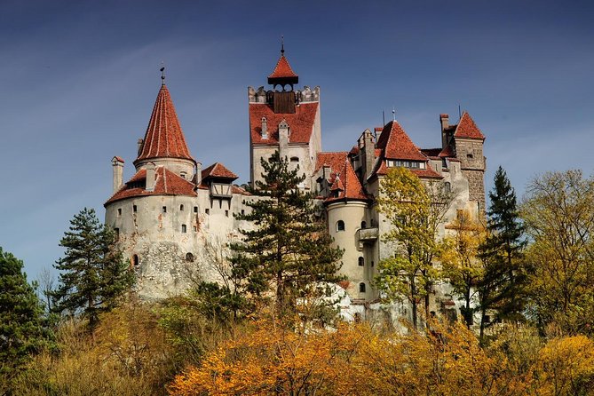 Bear Sanctuary, Bran (Dracula) Castle, Peles Castle From Brasov - Libearty Bear Sanctuary: start with a serious wildlife story