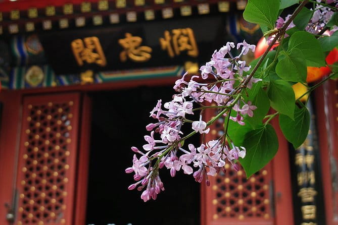 Beijing Forbidden City and Summer Palace Private Guide Tour - Is $180 Per Person Good Value?