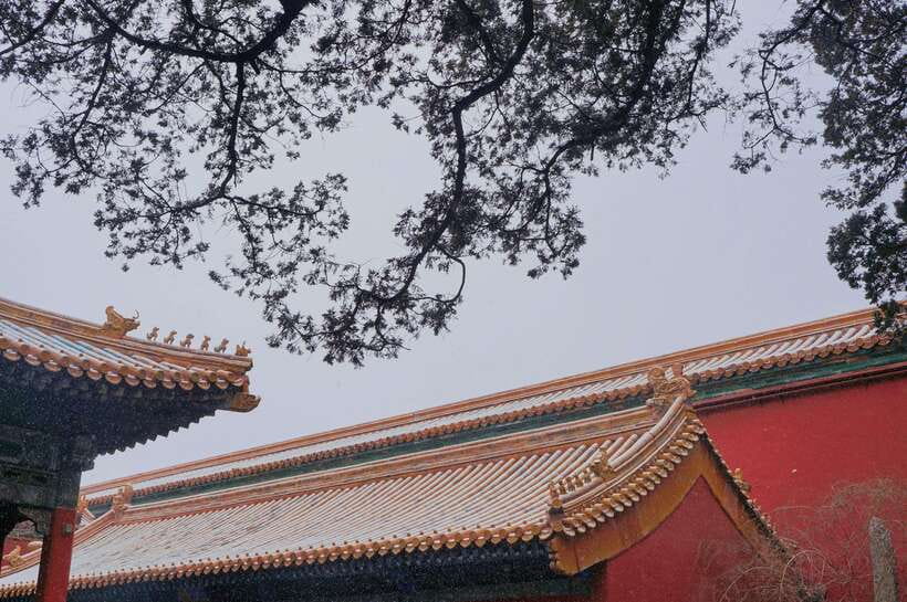 Beijing:Forbidden City & Tian'anmen Square with entry ticket - What the small group really changes