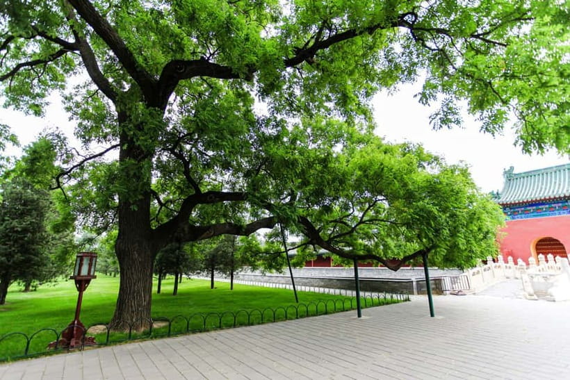 Beijing:Forbidden City Tour—Temple, Summer Palace&Great Wall - Transport, meeting points, and the rhythm of the day