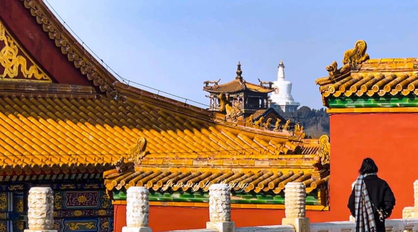 Beijing: Highlights of Forbidden City Private Walking Tour - Choosing between Summer Palace, hutongs, and the Great Wall