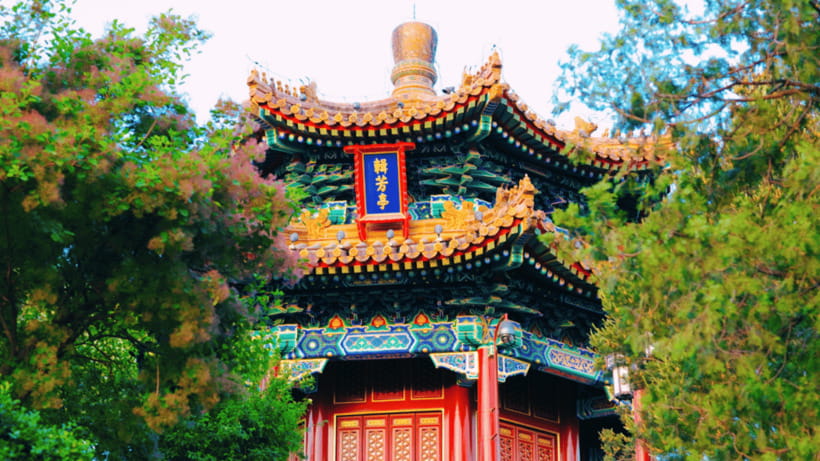 Beijing: JingShan park (palace museum garden) entry ticket - Flowers, Trees, and a Slower Pace
