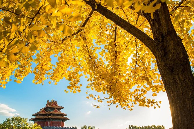 Beijing Layover Tour to Tiananmen Square and Forbidden City - The $180 Price and What It Covers