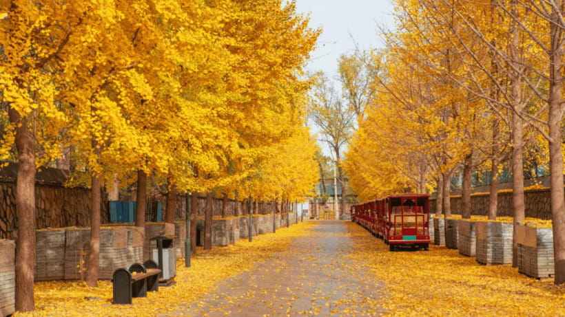 Beijing: Old Summer Palace Ruins Park Admission Ticket - Finding Your Way Around